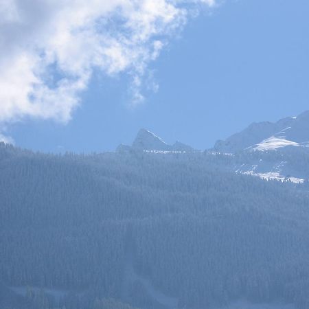 Hohe Tauernblick Appartement Mittersill Buitenkant foto