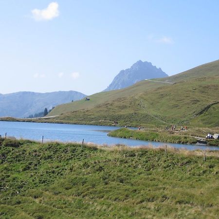 Hohe Tauernblick Appartement Mittersill Buitenkant foto