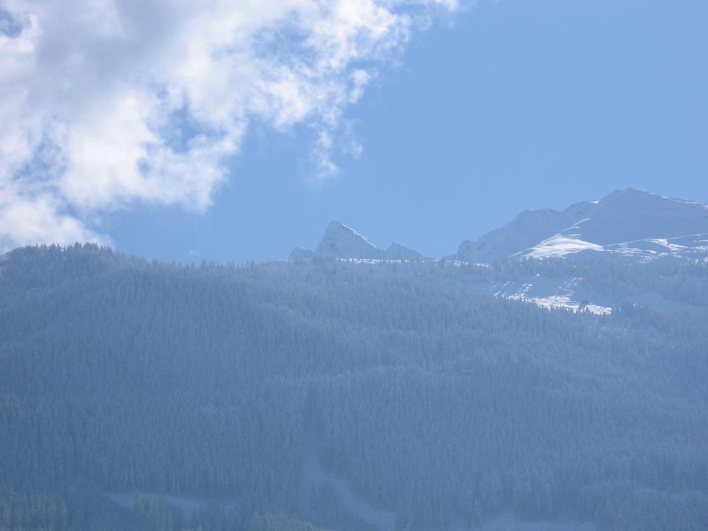 Hohe Tauernblick Appartement Mittersill Buitenkant foto