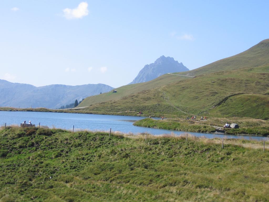 Hohe Tauernblick Appartement Mittersill Buitenkant foto